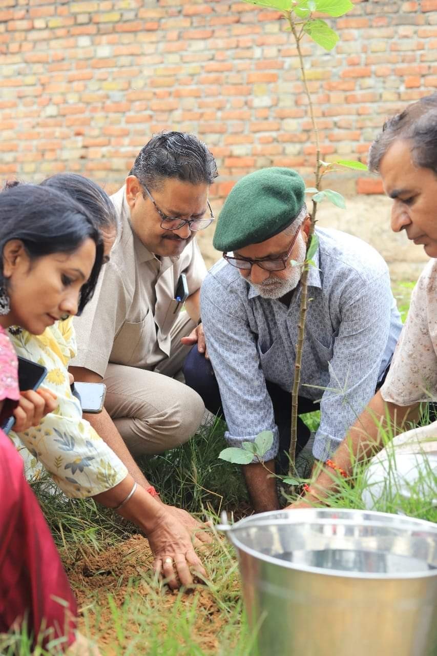 मदद फाउंडेशन टीम द्वारा गोपीनाथ गौशाला में किया पौधारोपण