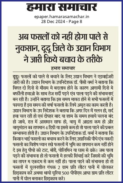 अब फसलों को नहीं होगा पाले से नुकसान, दूदू जिले के उद्यान विभाग ने जारी किये बचाव के तरीके